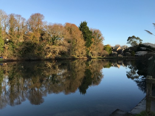 December morning