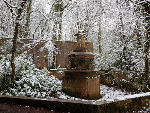 Lerryn in the snow 