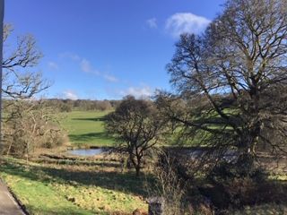 Spring day on the Boconnoc Estate