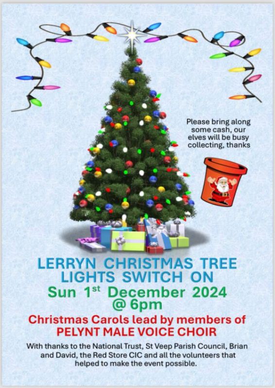 LERRYN CHRISTMAS TREE LIGHTS SWITCH ON