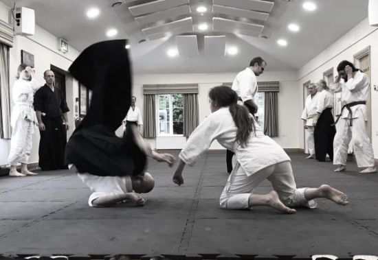 Lerryn Ki Aikido